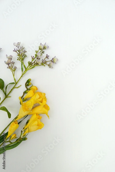 Fototapeta Artificial Plastic Flowers on a White Background