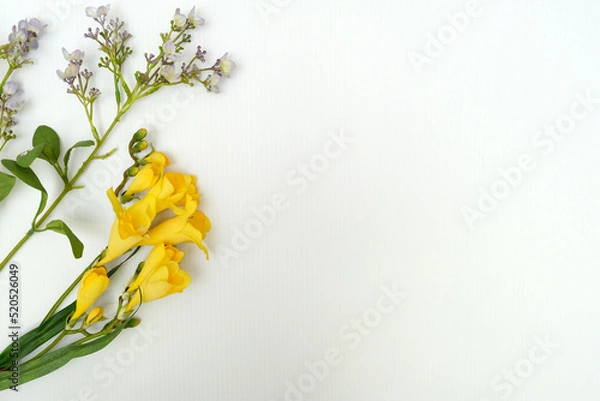 Obraz Artificial Plastic Flowers on a White Background