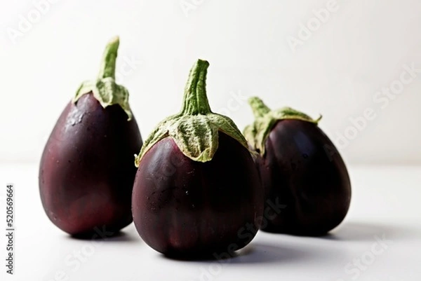 Obraz 가지 eggplant 블랙뷰티