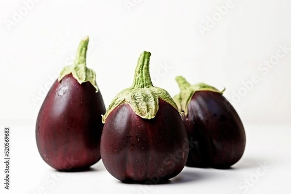 Obraz 가지 eggplant 블랙뷰티
