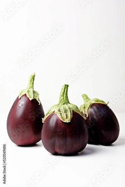 Obraz 가지 eggplant 블랙뷰티