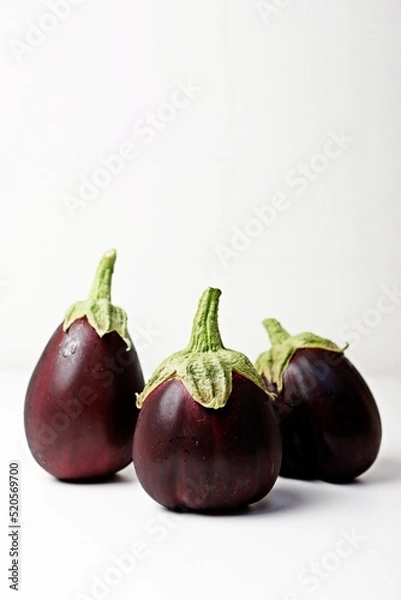 Obraz 가지 eggplant 블랙뷰티