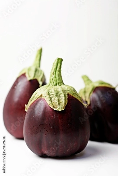 Fototapeta 가지 eggplant 블랙뷰티