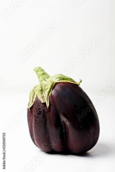 Obraz 가지 eggplant 블랙뷰티