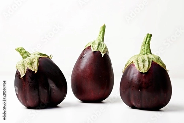 Obraz 가지 eggplant 블랙뷰티