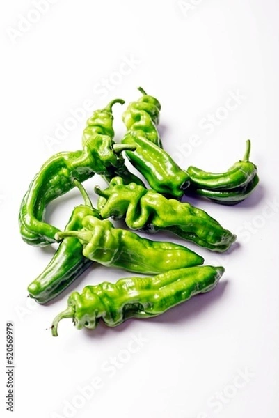 Obraz 싱싱한 채소들