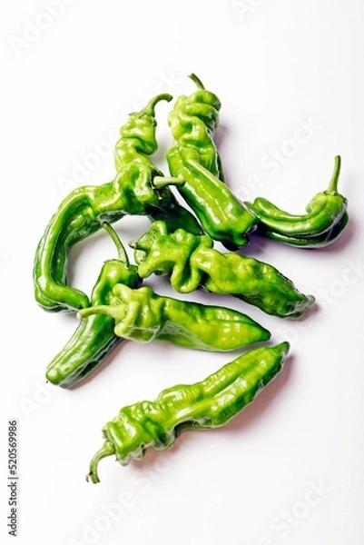 Obraz 싱싱한 채소들