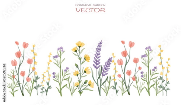 Fototapeta spring floral background, Vector flower with leaves isolated on white background,pink pastel rose for decorative card or design invitations ,botanical elements 