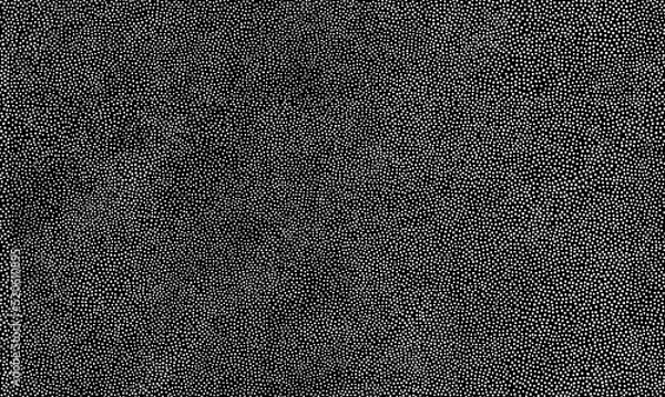 Fototapeta Seamless vector dot texture individually drawn repeatable organic pattern swatch white dots on black background scalable