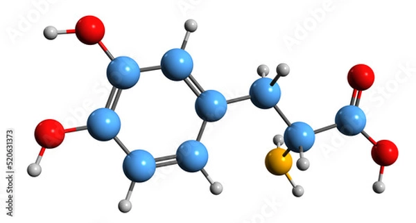 Fototapeta  3D image of levodopa skeletal formula - molecular chemical structure of psychoactive drug isolated on white background
