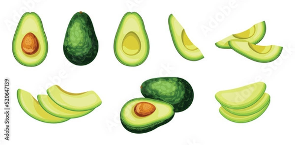 Fototapeta Set of fresh green avocado in cartoon style. Vector illustration of vegetables whole and cut into slices and halves on white background.