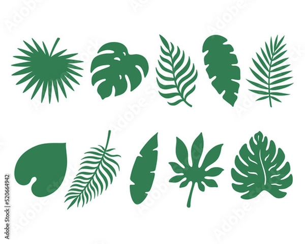 Fototapeta Set of tropical leaves. Green monstera leaf. Hawaiian flora. Vector objects isolated on white background.