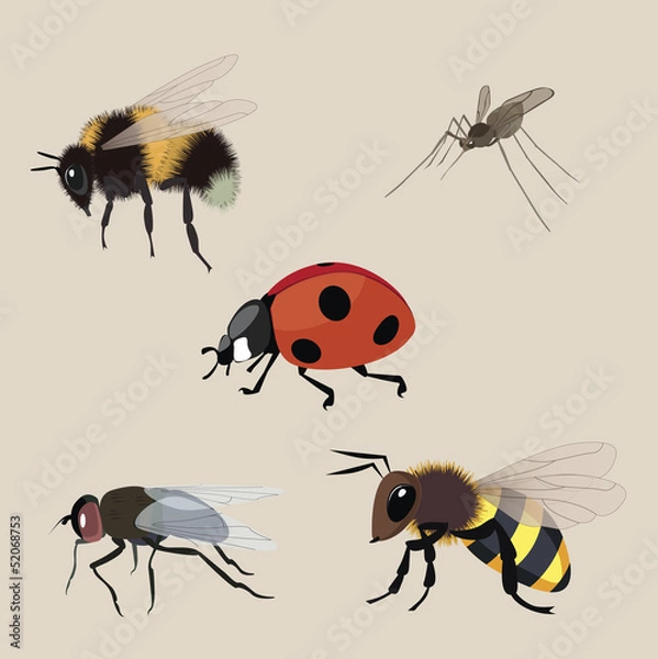 Obraz realistic flying insects a vector collection