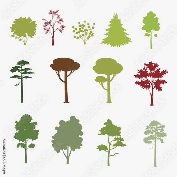 Obraz one color forest trees