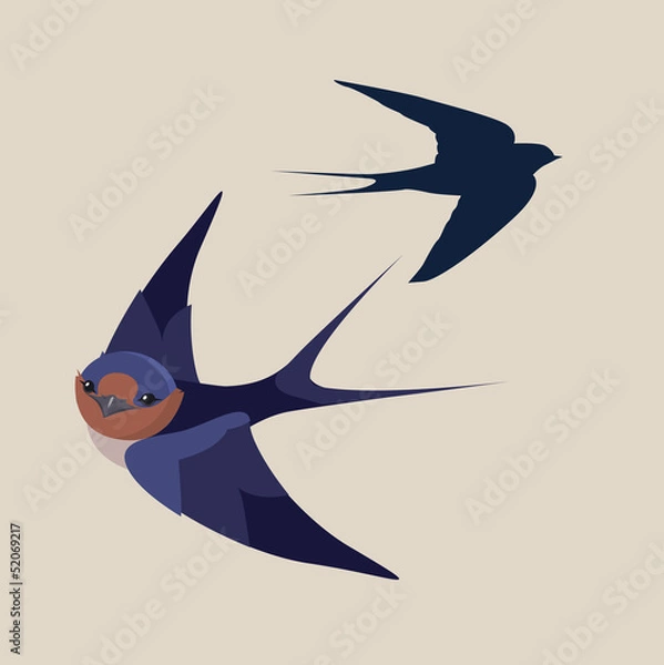 Obraz little swallow bird vector illustration