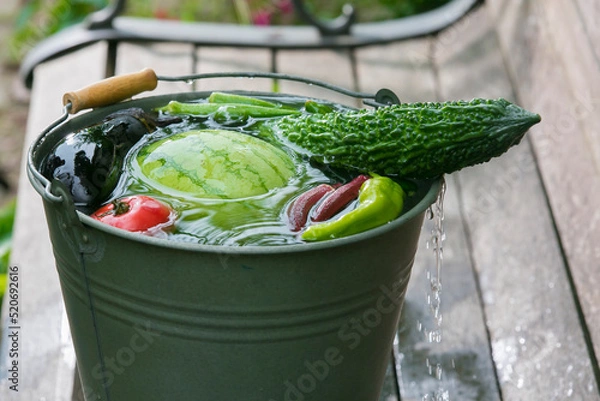 Obraz 夏野菜 スイカ トマト 涼 野菜集合