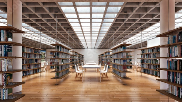 Obraz books in library