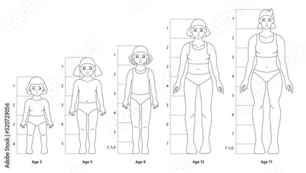 Obraz Vector templates of kid girl body for fashion flat sketch. Proportions of female figure from baby to teenager or young adult