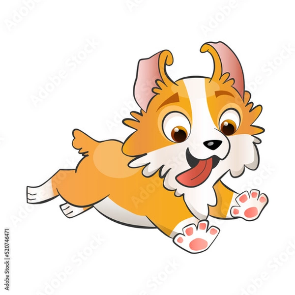 Obraz Cute jumping corgi puppy character vector illustration in flat cartoon style