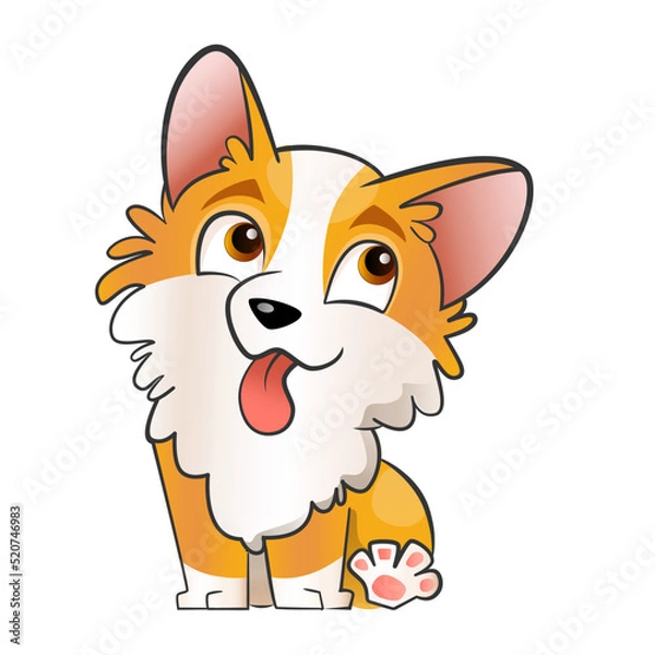 Obraz Cute corgi puppy character vector illustration in flat cartoon style