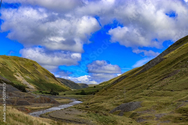 Obraz Stream in the valley