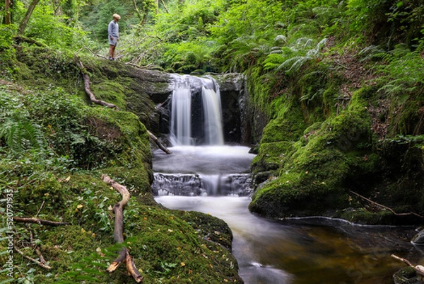 Obraz waterfall in the forest