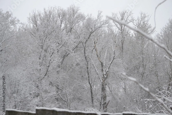 Obraz снегопад