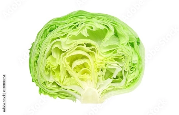 Fototapeta レタス イラスト リアル