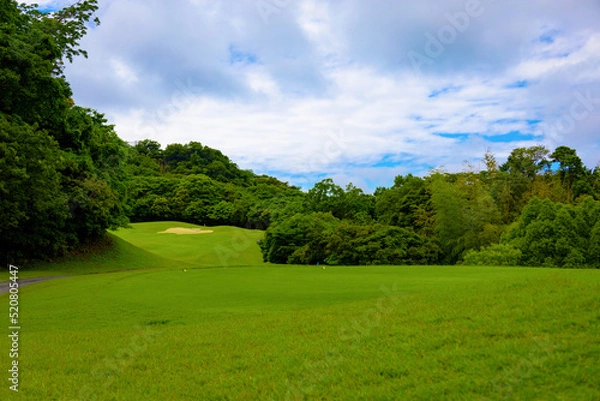 Obraz ゴルフ場のティーグラウンドからのコースの眺め（千葉県富津市）