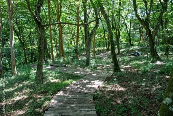 Obraz 箱根の美術館