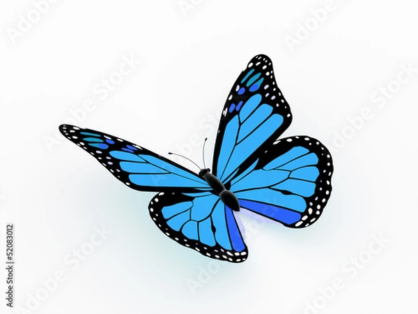 Obraz Butterfly blue color isolated