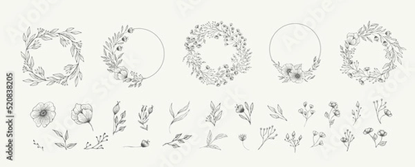 Fototapeta Set of floral compositions. Botanical arrangement of leaves branches and blooming flowers. Vector ornamental herbs in boutonniere and bouquet. Wedding design