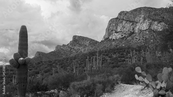 Fototapeta Black and white photograph of Pusch Ridge along the western edge of the Catalina Mountains north of Tucson. Beautiful monsoon clouds and rocky cliffs. Oro Valley, Pima County, Arizona, USA.