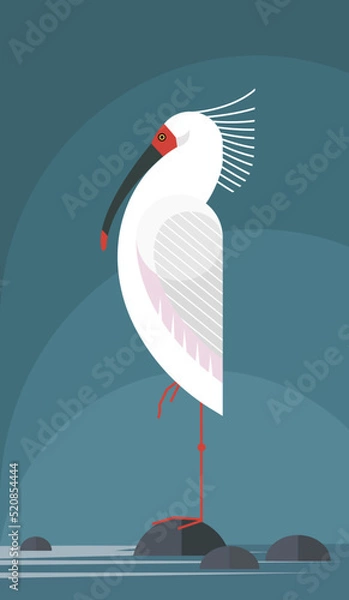 Obraz Nipponia nippon