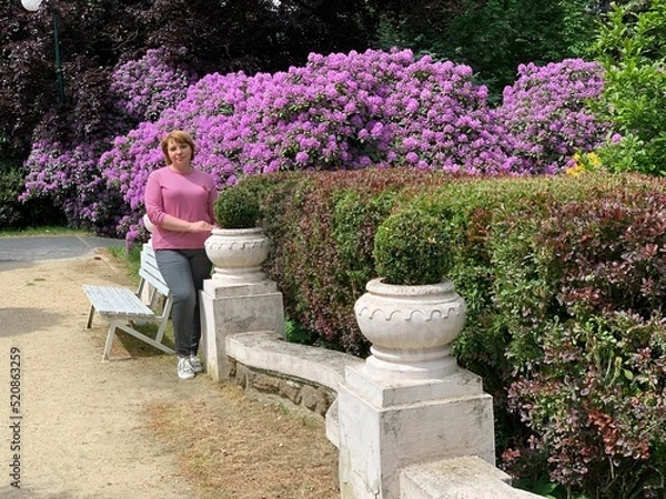 Obraz flowers in a garden