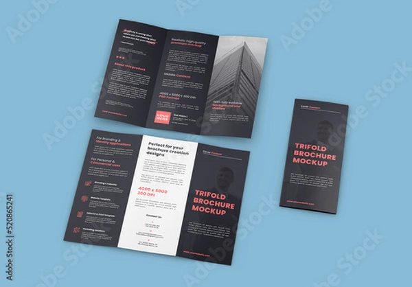 Obraz Trifold Brochure All Views