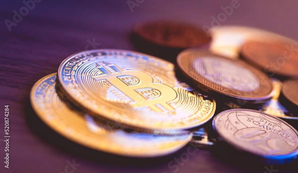 Obraz Bitcoin - Brasil. Moedas douradas de bitcoins com moedas brasileiras sobre uma superfície de madeira.  Conceitos de Criptomoedas, finanças e riscos.