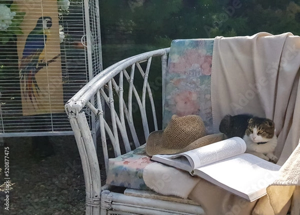 Obraz a cat sits in a vintage armchair in the summer against the background of a green garden. next to an open book and a beach hat