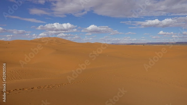 Obraz サハラ砂漠から2