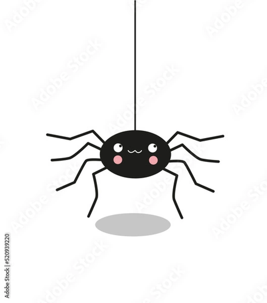 Obraz black cute vector spider on a white background