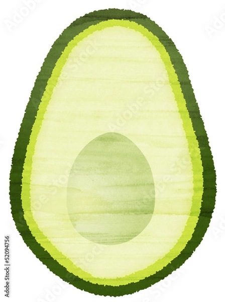 Obraz 水彩風 アボカドの断面