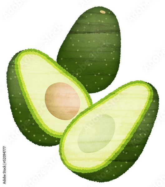 Obraz 水彩風のアボカド