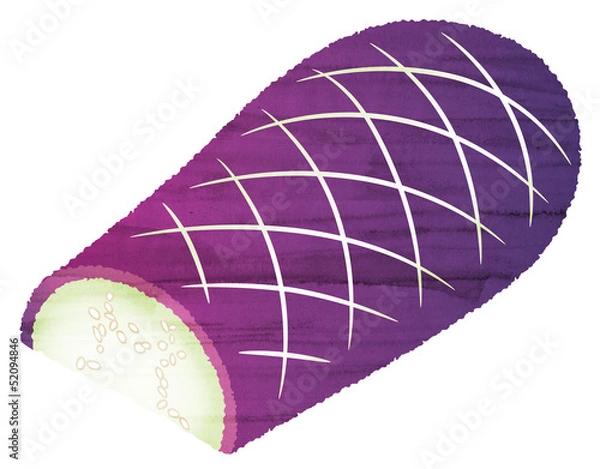 Obraz 水彩風 カットしたなす