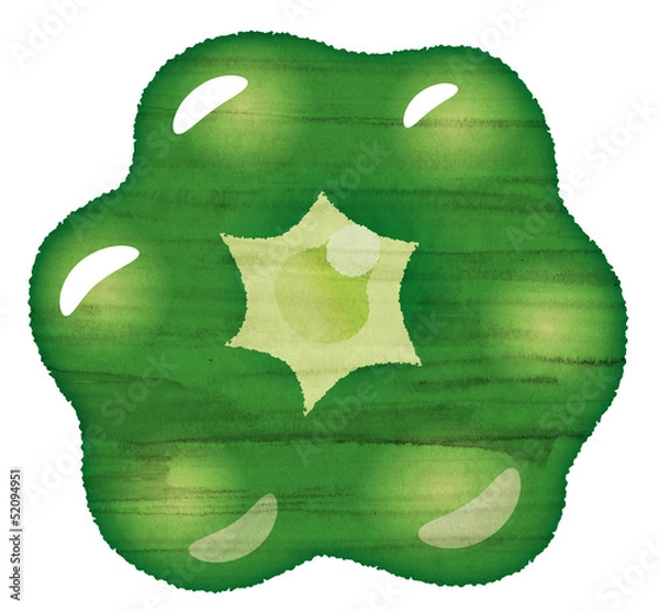 Obraz 水彩風のピーマン