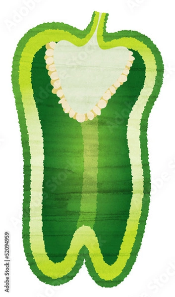 Obraz 水彩風 ピーマンの断面