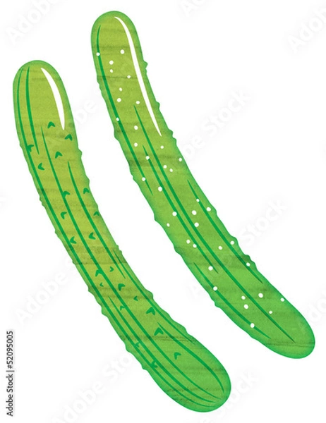 Obraz 水彩風のきゅうり