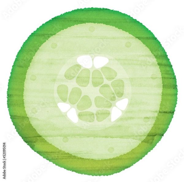 Obraz 水彩風 きゅうりの断面