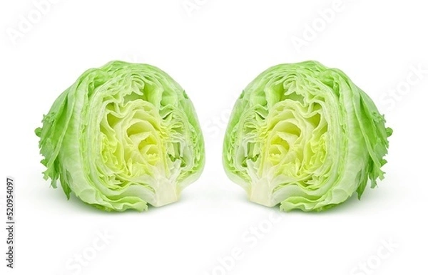 Fototapeta レタス イラスト リアル 断面 セット