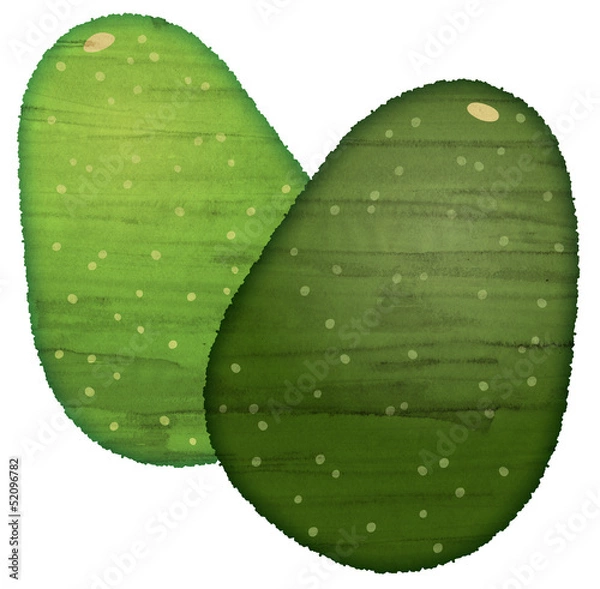 Obraz 水彩風のアボカド