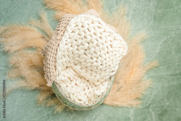 Fototapeta digital backdrop or background for newborn baby photography, newborn photo setup and decorations